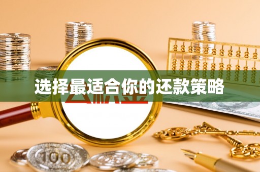 徽县选择最适合你的还款策略
